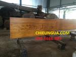 Sập gỗ| Sập gỗ hương_SGH009