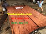 Sập gỗ tại Cà Mau