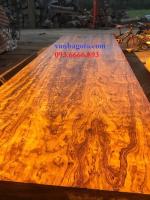 Sập gỗ cẩm nguyên khối tại Hà Nội 1