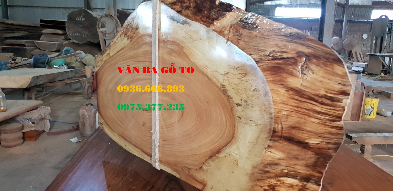 Mặt bàn gỗ tự nhiên Đẹp Đẳng cấp