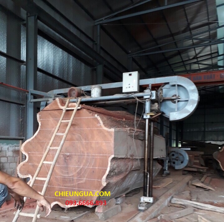 Cây gỗ cẩm lai tại xưởng Văn Ba