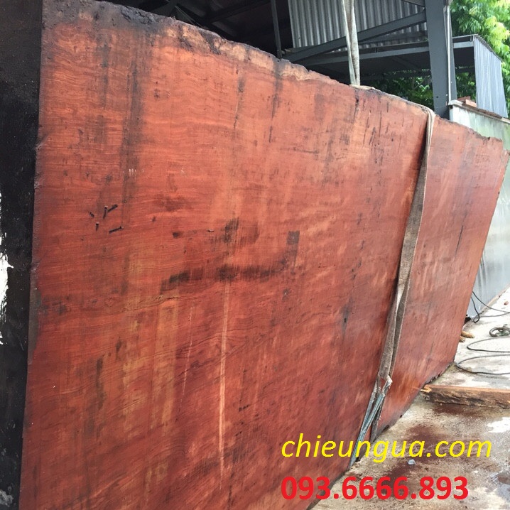 Phản ngựa gỗ