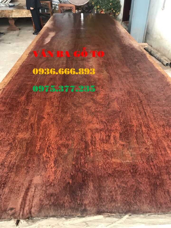 Chiếu ngựa cẩm Lai